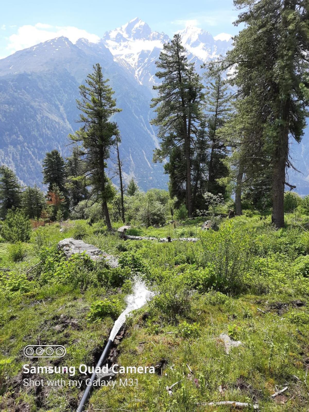 Pine View Retreat Homestay Kalpa Esterno foto