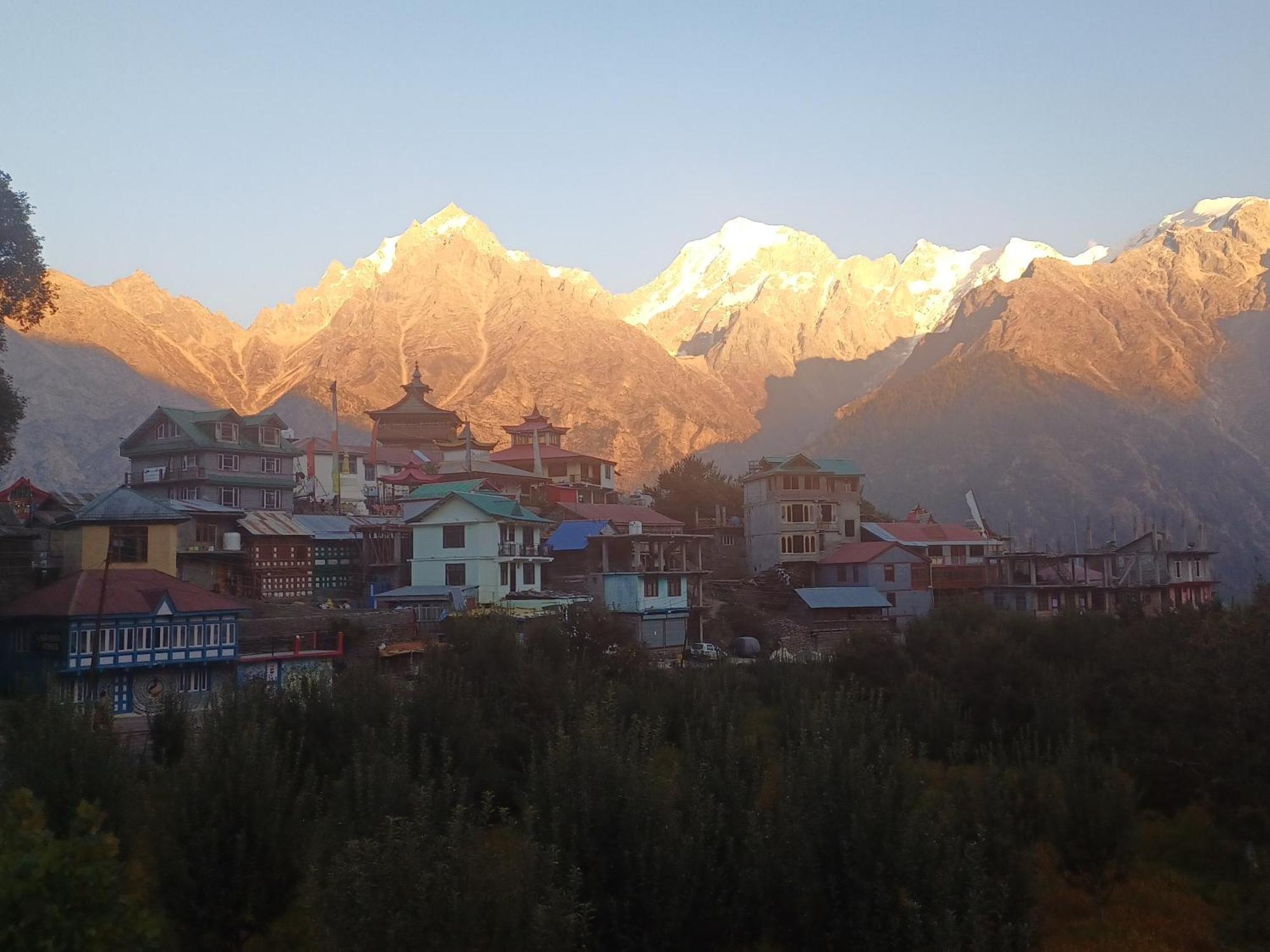 Pine View Retreat Homestay Kalpa Esterno foto